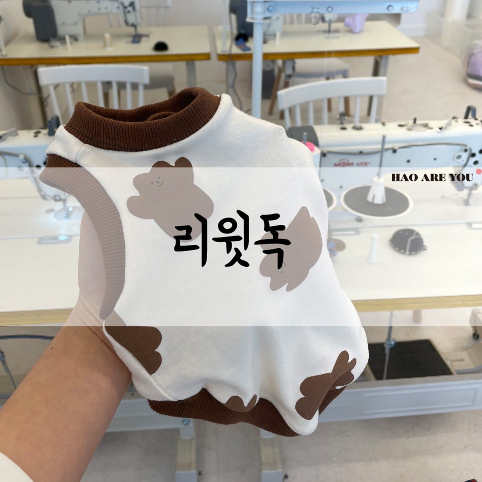 리윗독 이미지