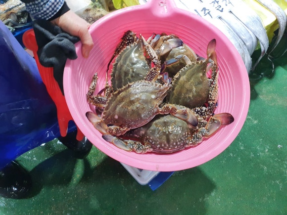 대일수산 이미지