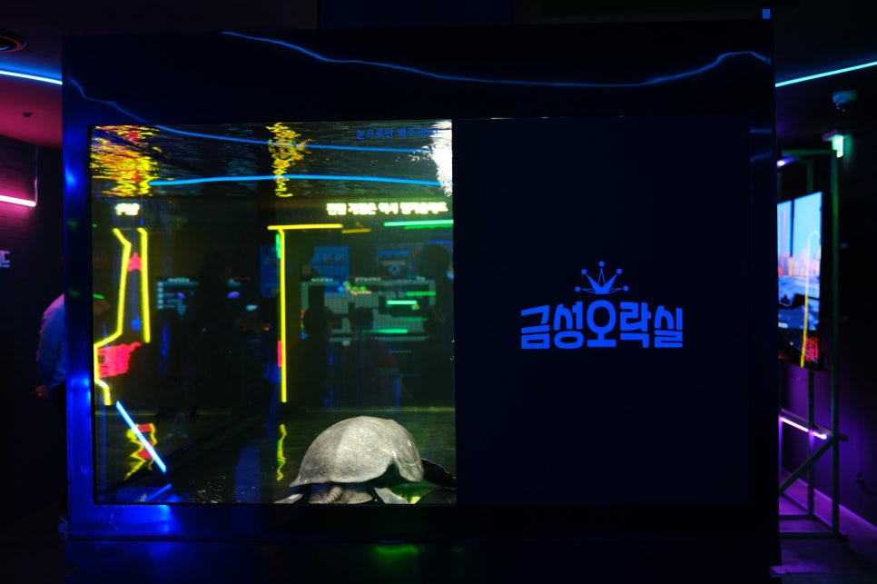 거부기전자 이미지