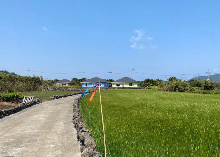 제주동마트 이미지