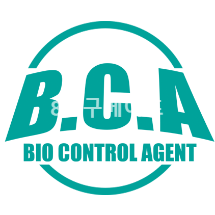 8공구베이프 이미지