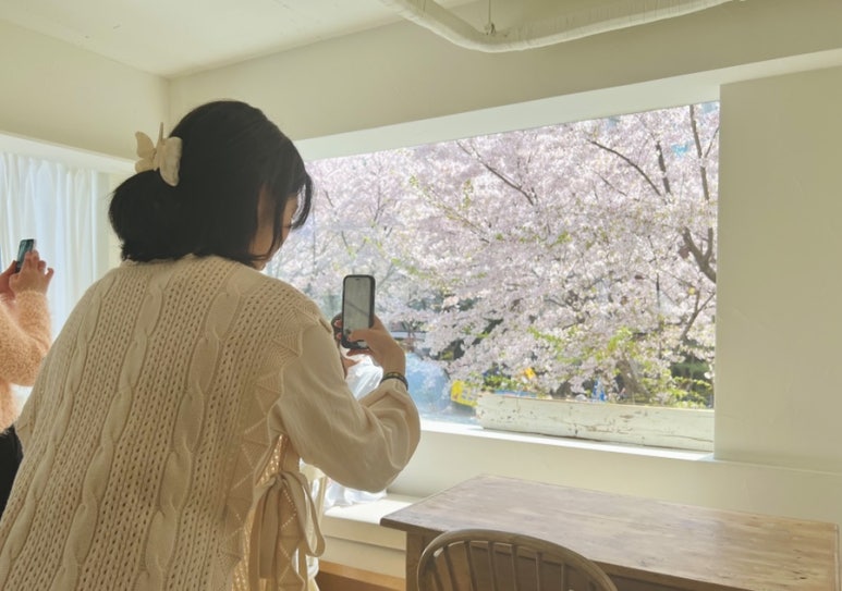 디어모먼트 이미지
