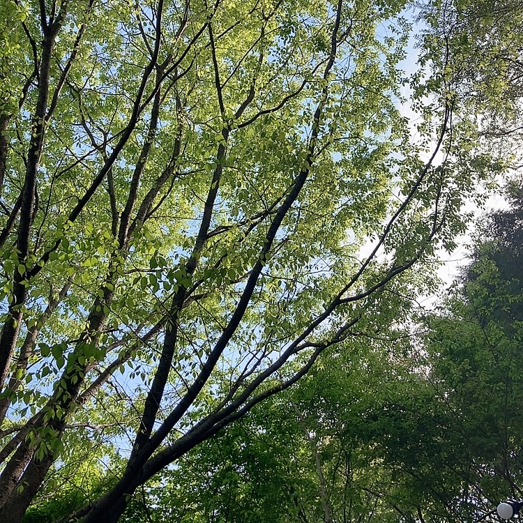 마루한 캠핑장 이미지