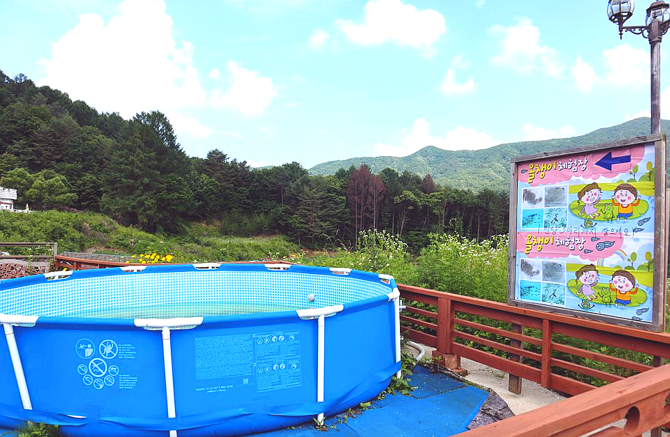(주)숲 이미지
