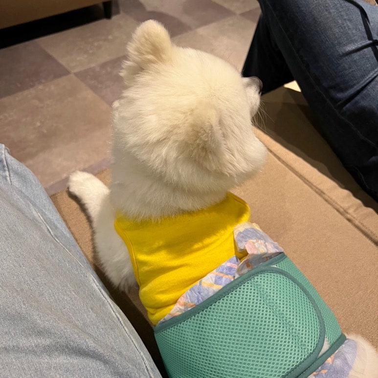 영통시네마 이미지