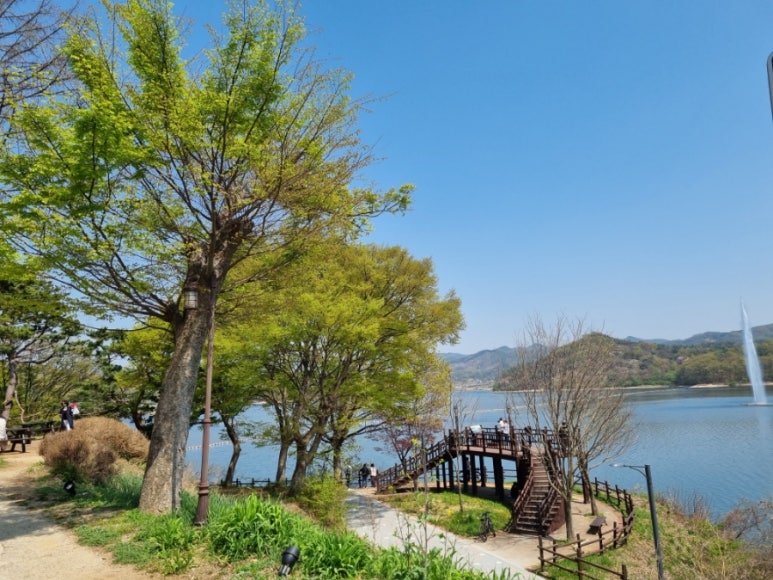 더대청호 이미지