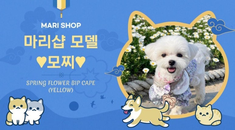 마리샵 이미지