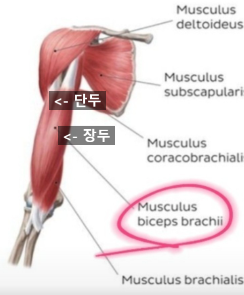 아지트피티 이미지