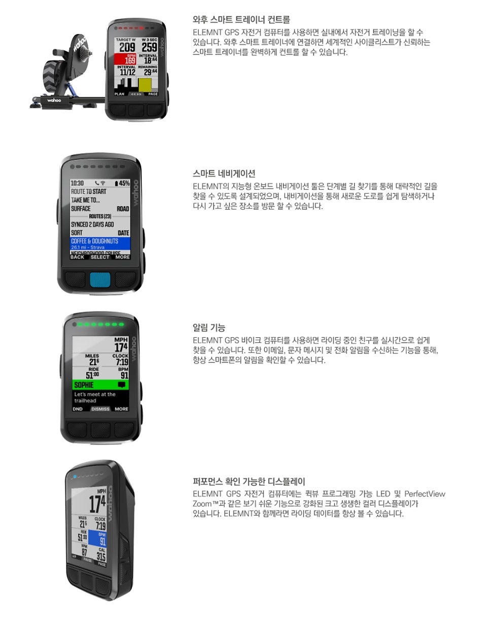 볼트빈 이미지
