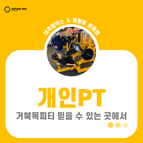 네츄럴박스 이미지