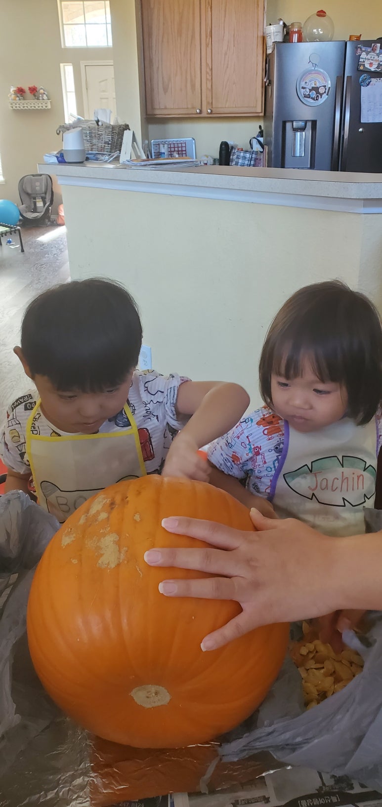 야보아스 이미지