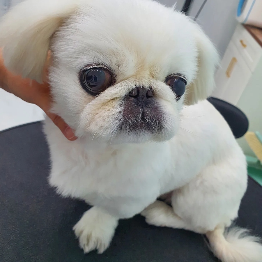 큐티샵 이미지