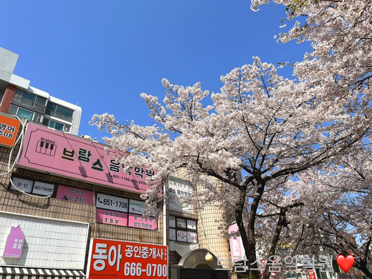 브람스음악학원 이미지
