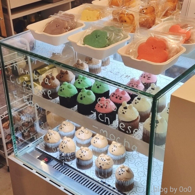 차니베어 이미지