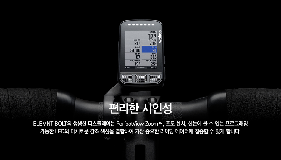 볼트빈 이미지