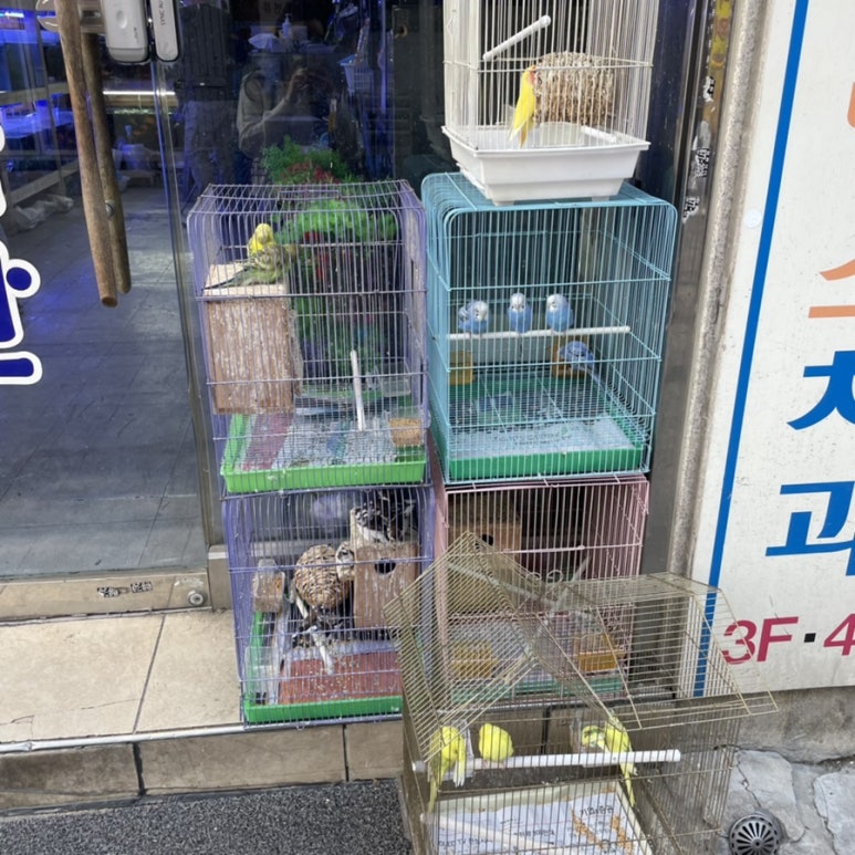 물의나라수족관 이미지