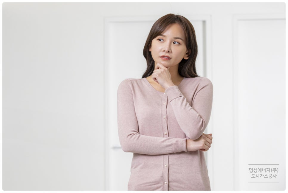 가스프라자주 이미지