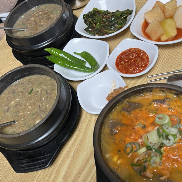 고향길든솔 사진 7