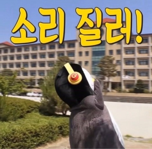 용궁물회 이미지