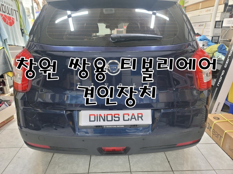 다이노스카 이미지