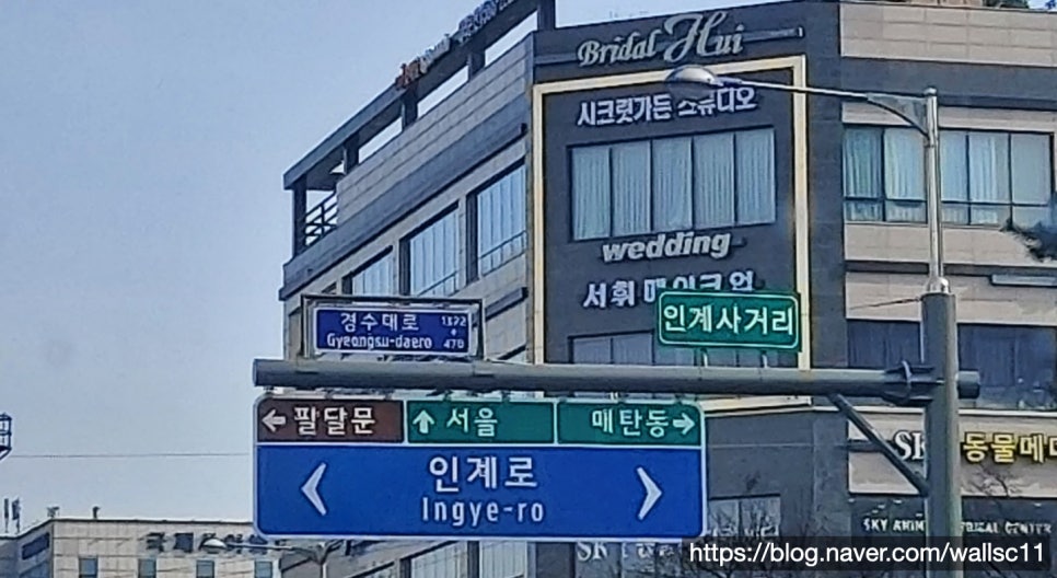 고퀄수리 이미지