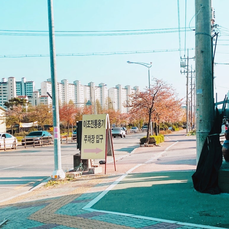 은하꽃집 이미지
