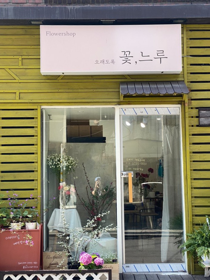 꽃;느루 이미지