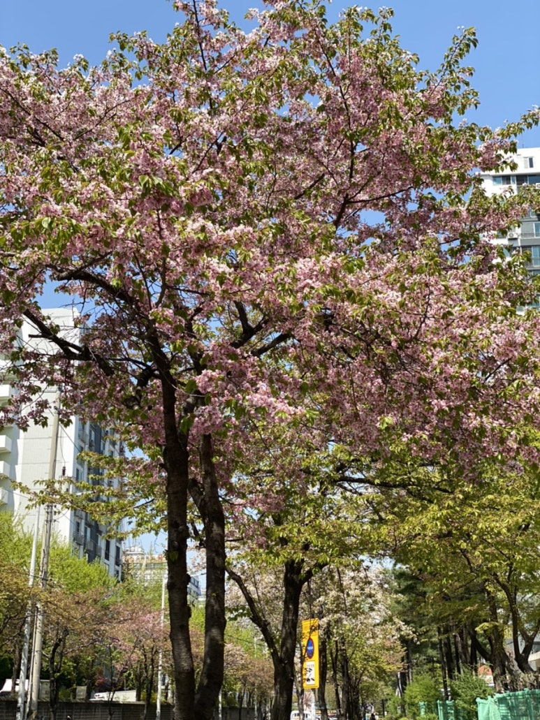 카페생각 이미지