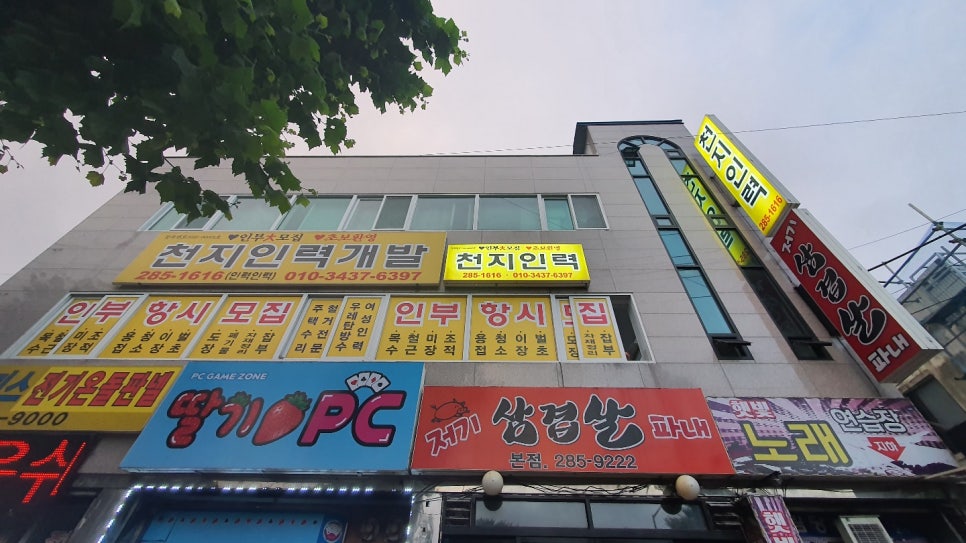 천지인력 이미지