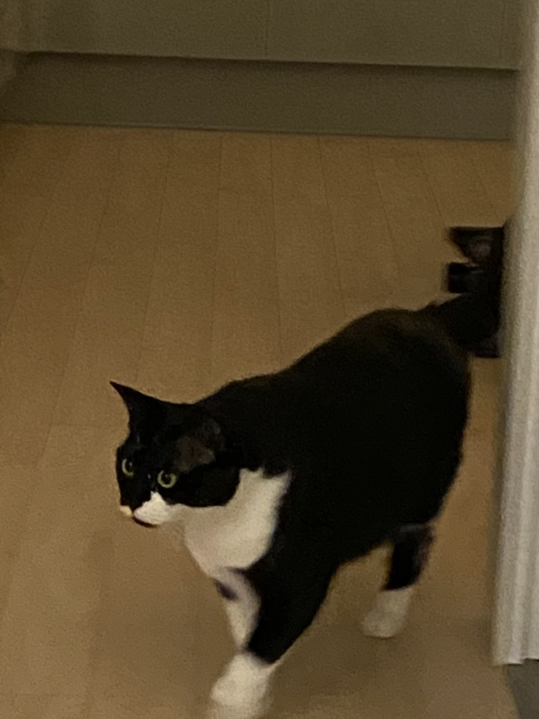 뉴한강초밥 이미지