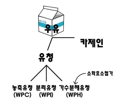 클래스윔 스포츠센터 이미지