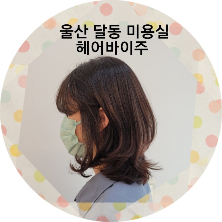 헤어바이주 이미지