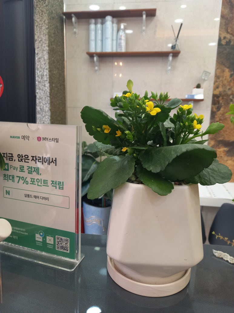 젤리헤어살롱 이미지