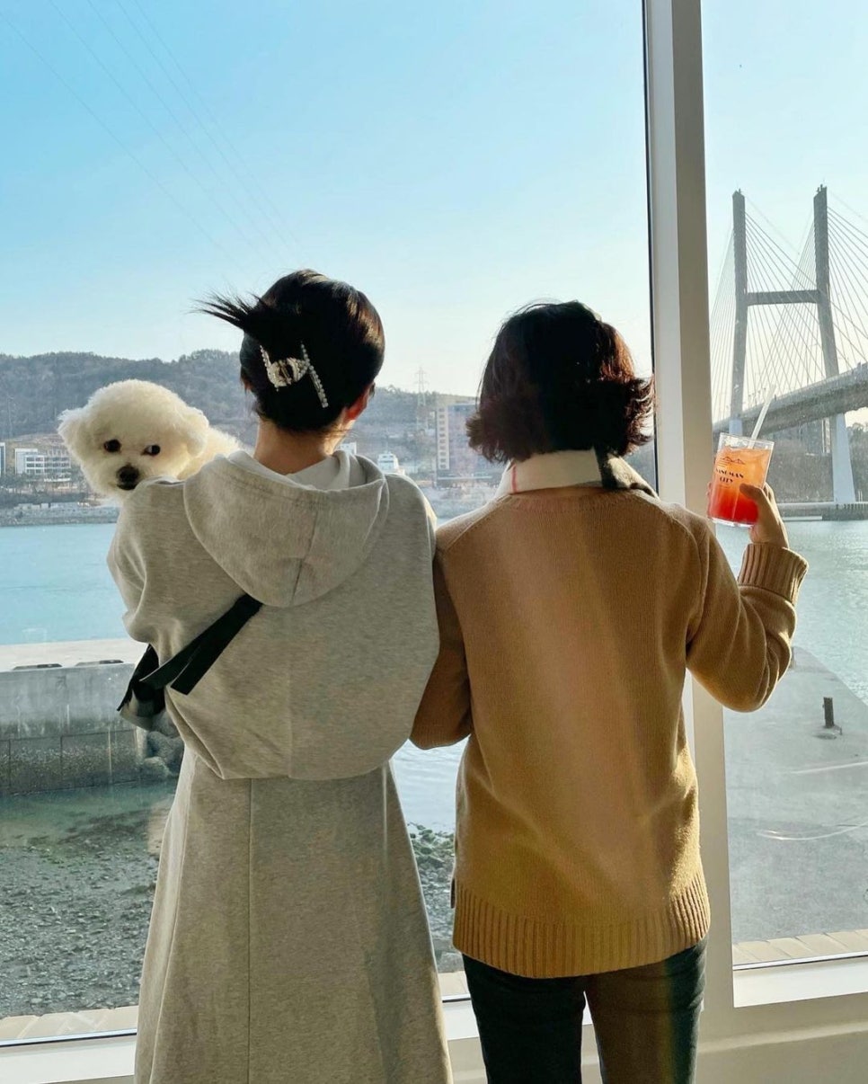 낭만도넛 이미지