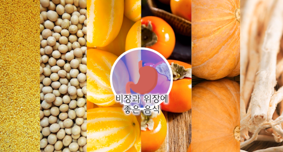 단감테라피 이미지