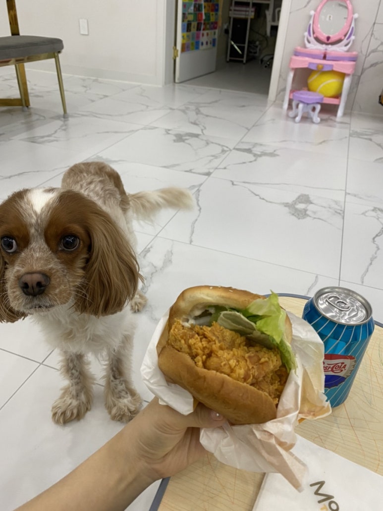 맘스터치인천원당점 이미지
