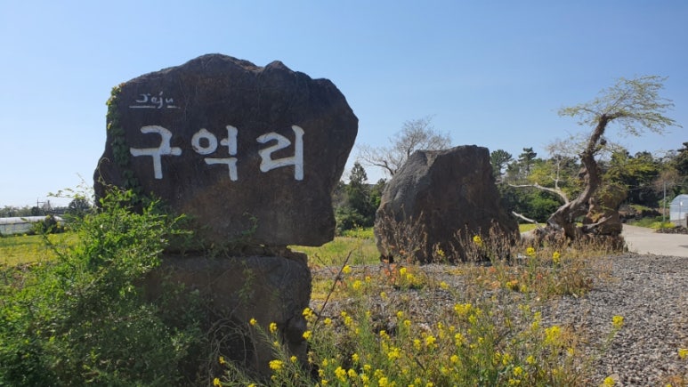바르다김선생대정 이미지