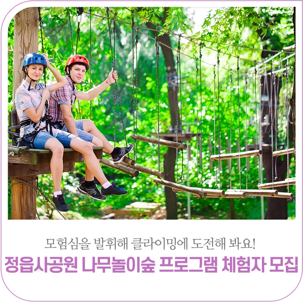 나무놀이 이미지