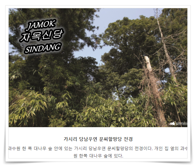 씨아이유 이미지