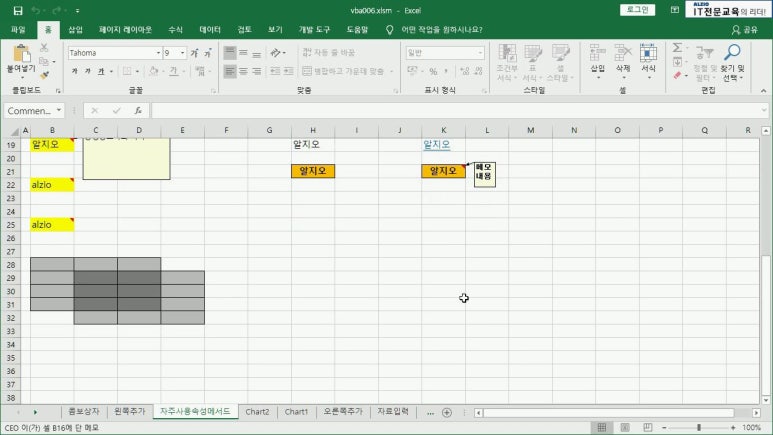 알지오엑셀 이미지