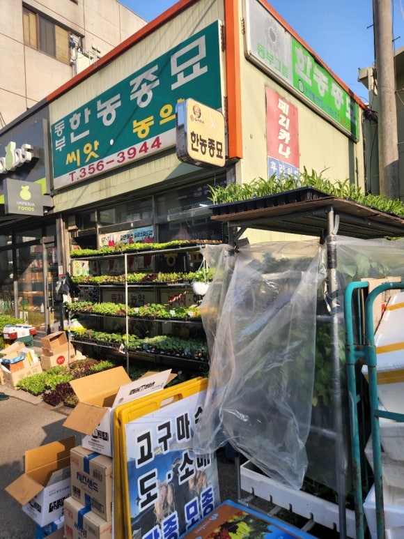 한농종묘 이미지