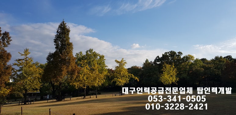 정성인력 이미지