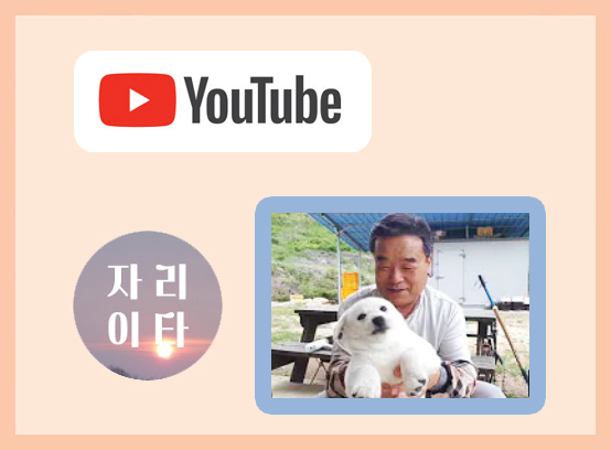 울타리천국 이미지