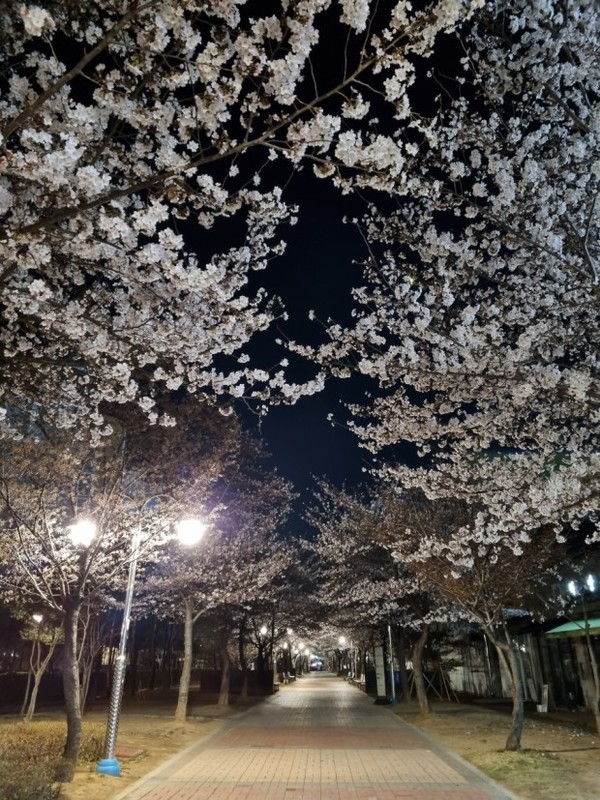 반계공원 이미지