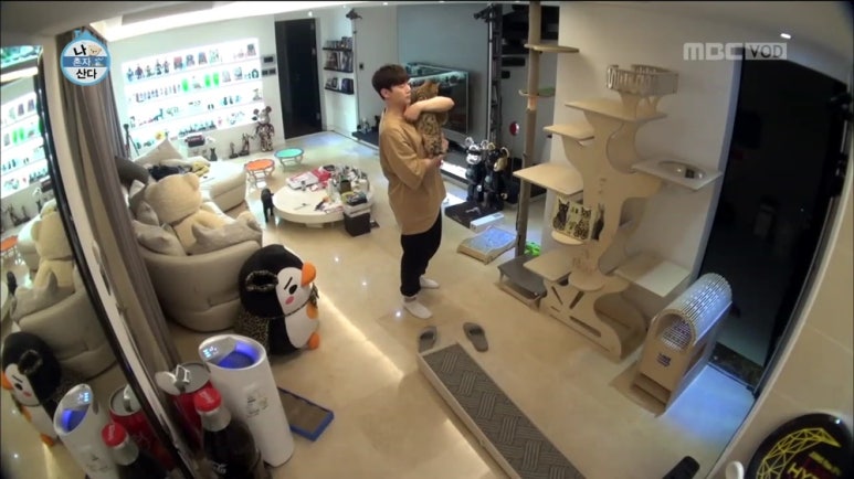 준호갤러리 이미지