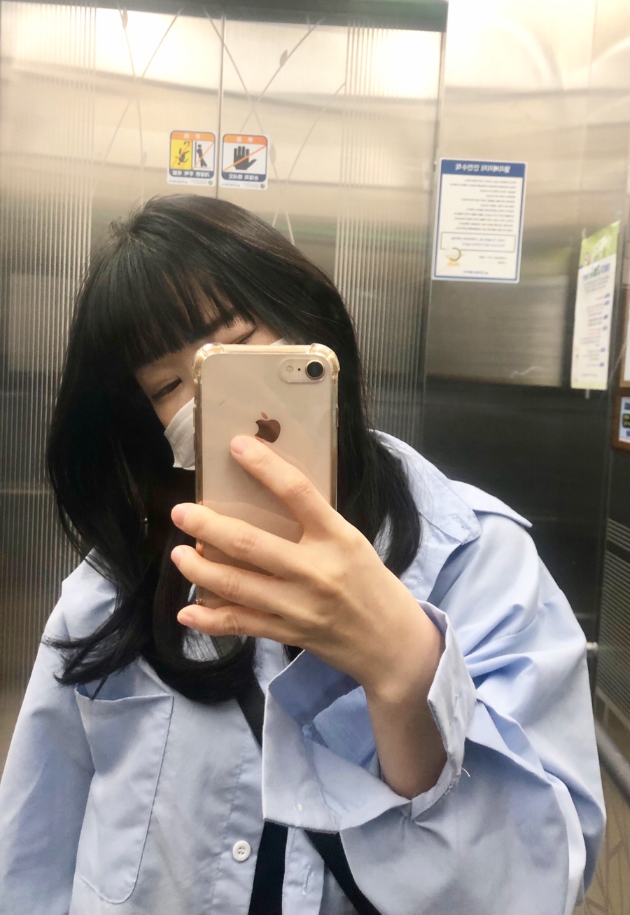 건니크 이미지
