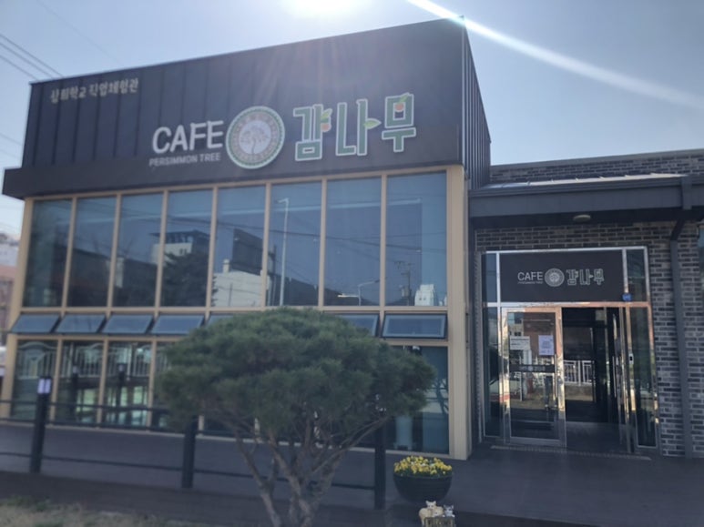 상희학교 카페 감나무 이미지