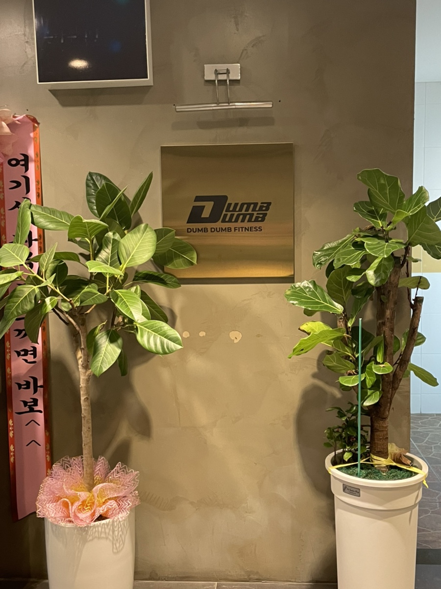 덤덤휘트니스 이미지