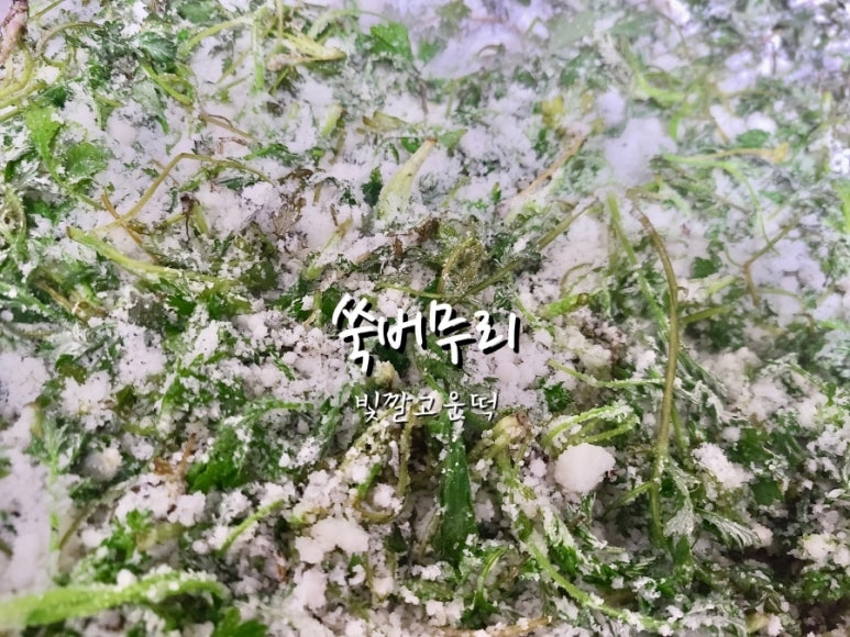 빛깔고운떡 이미지