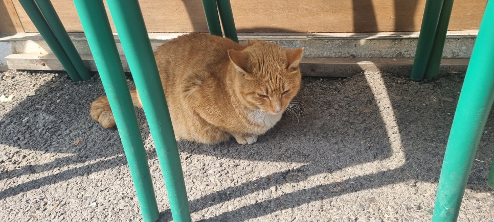 윤이엔지 이미지